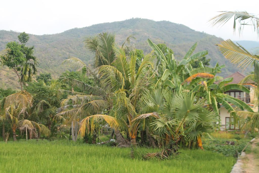 Taman Padi Villa Amed Exteriör bild