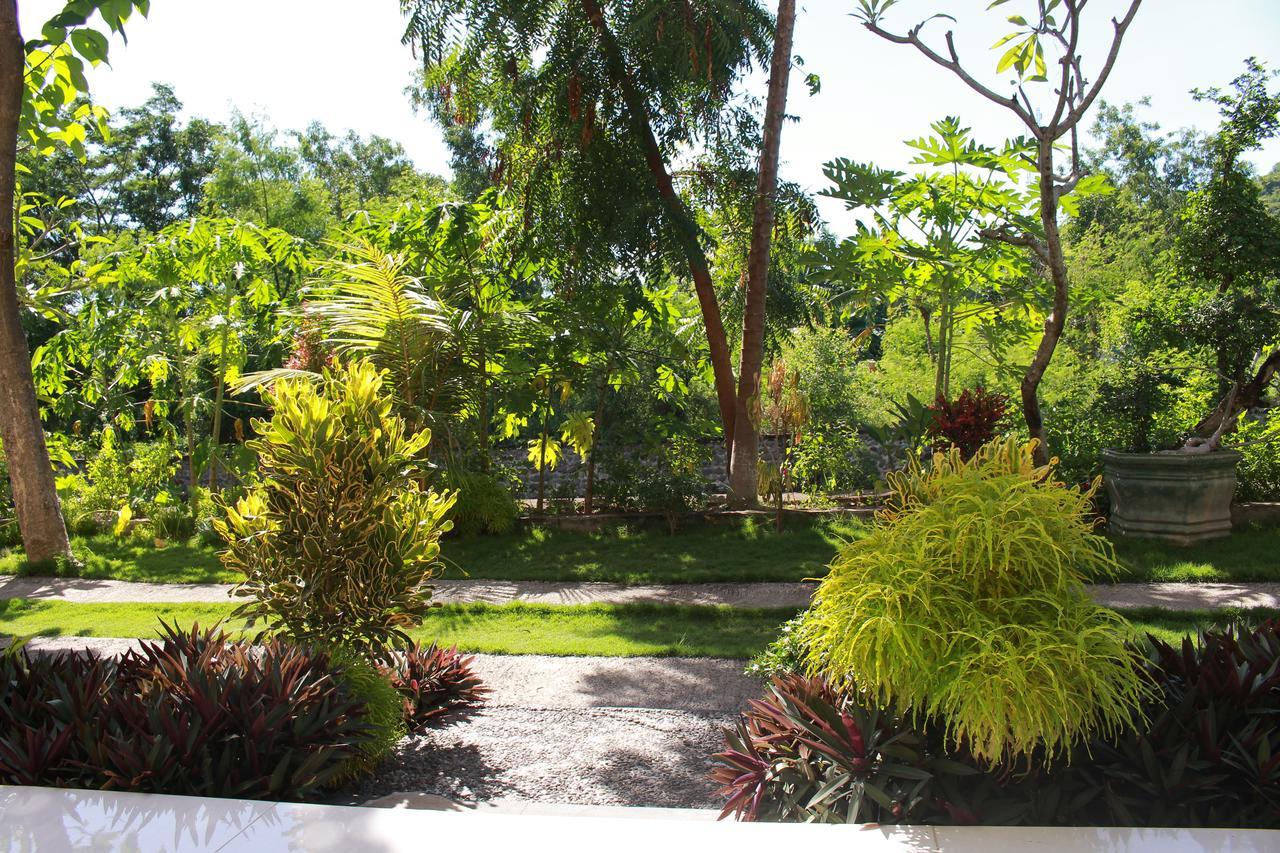 Taman Padi Villa Amed Exteriör bild